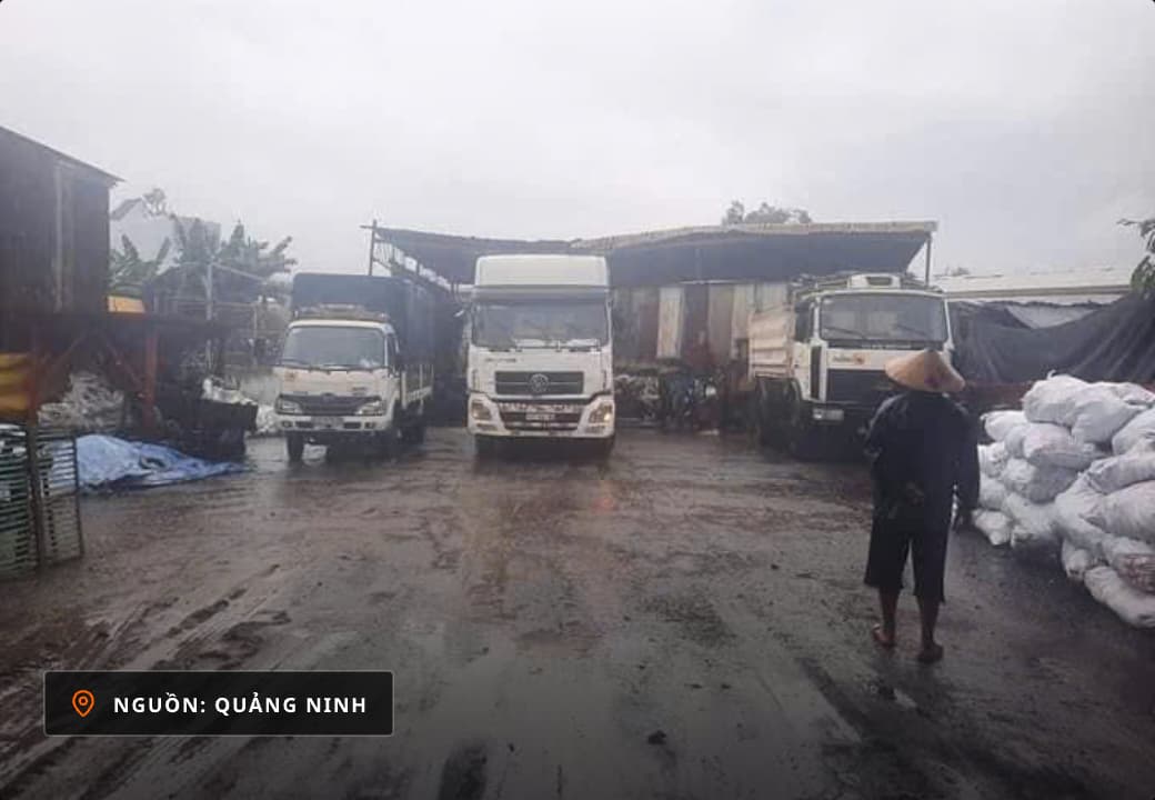Than cục Quảng Ninh tại kho